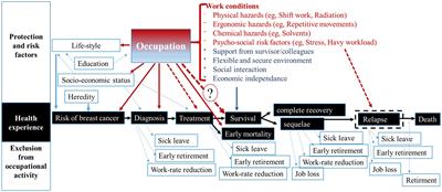 Breast cancer and occupation: Non-parametric and parametric net survival analyses among Swiss women (1990–2014)